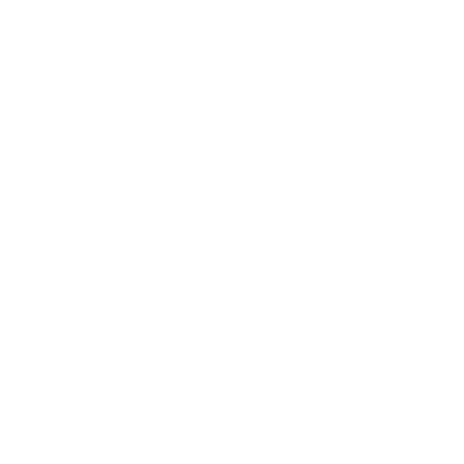 icon 002 w