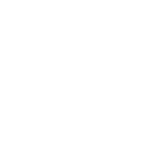 icon 003 w