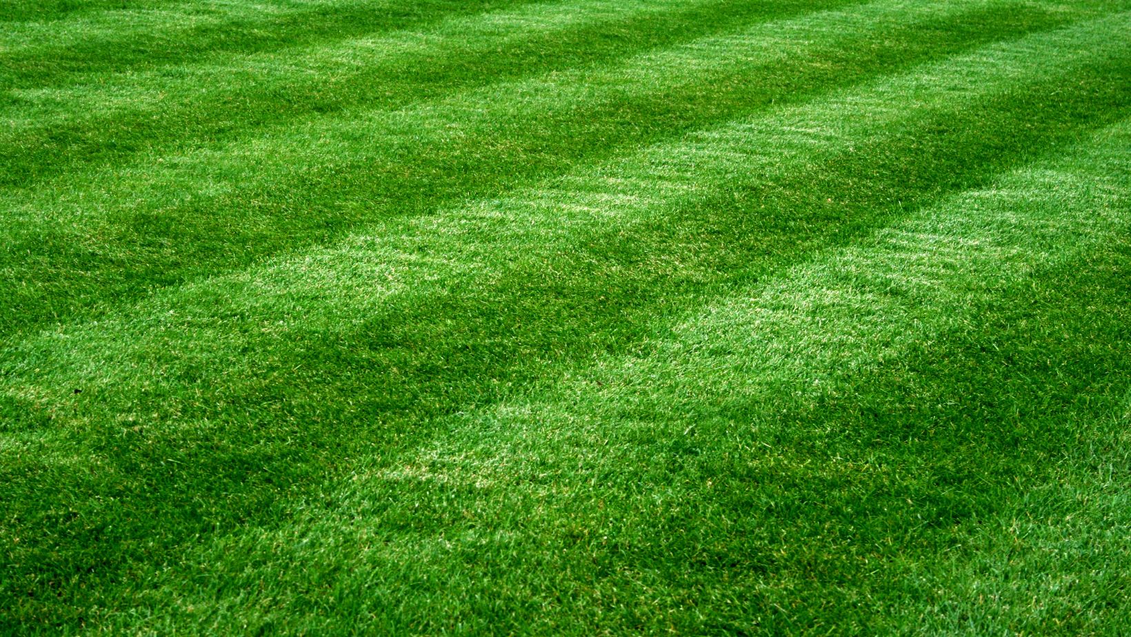 Eco-Friendly Lawn Maintenance - Pembroke, MA 001