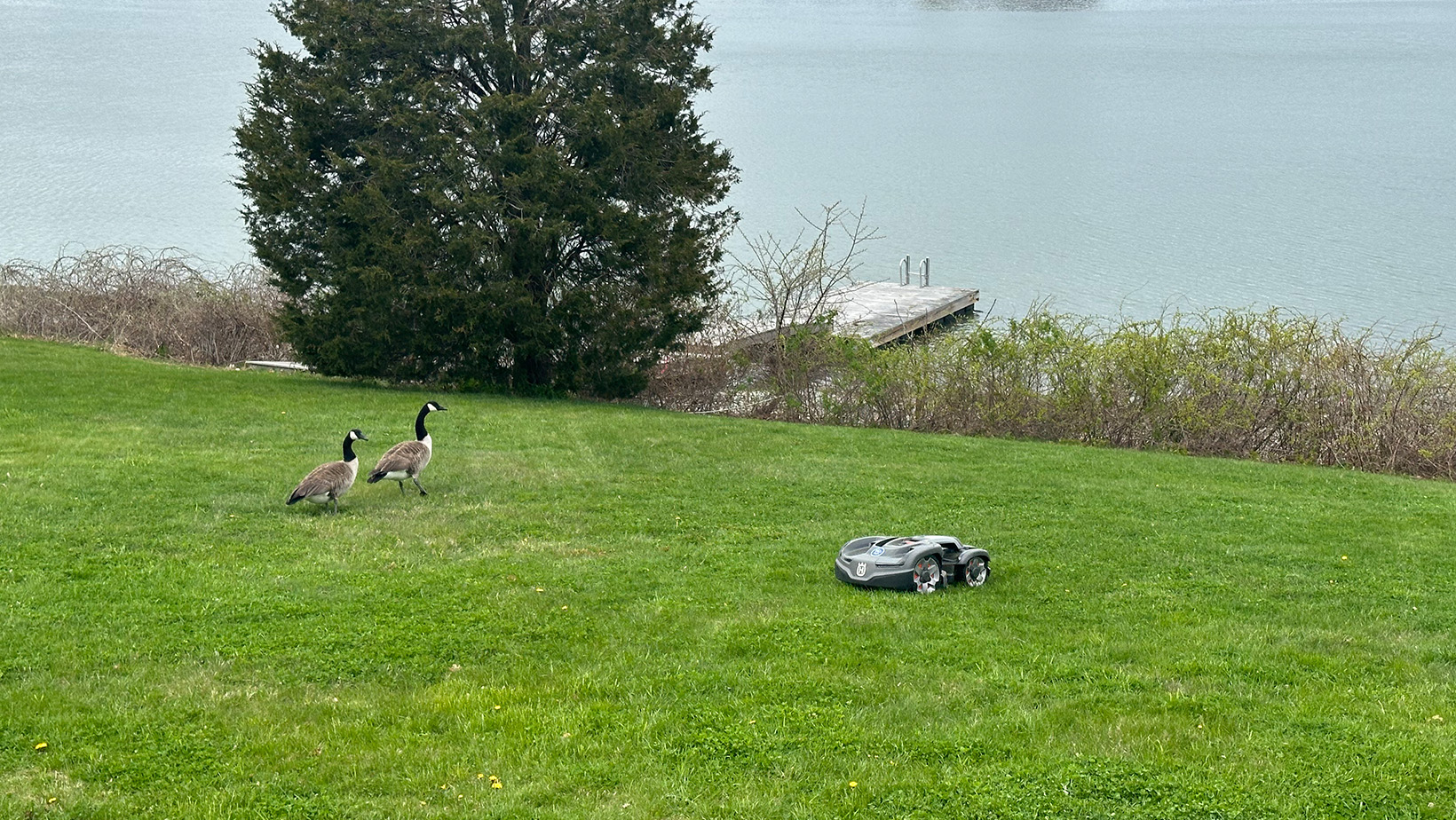 Eco Friendly Lawn Maintenance Pembroke, MA 026