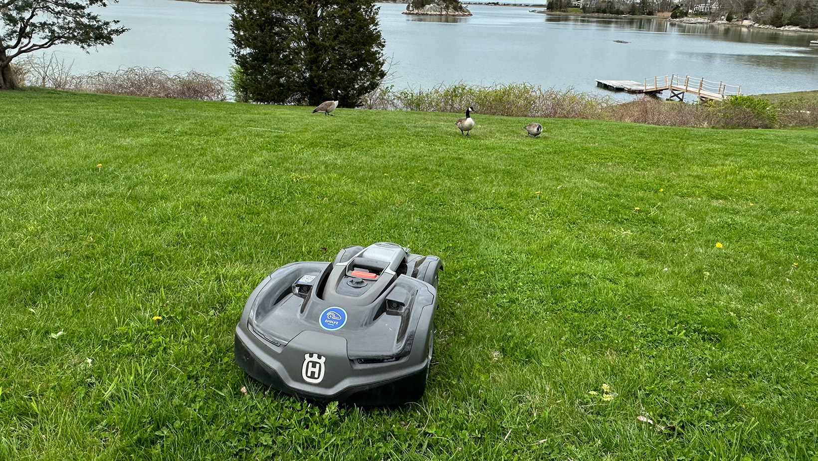 Eco Friendly Lawn Maintenance Pembroke, MA 027