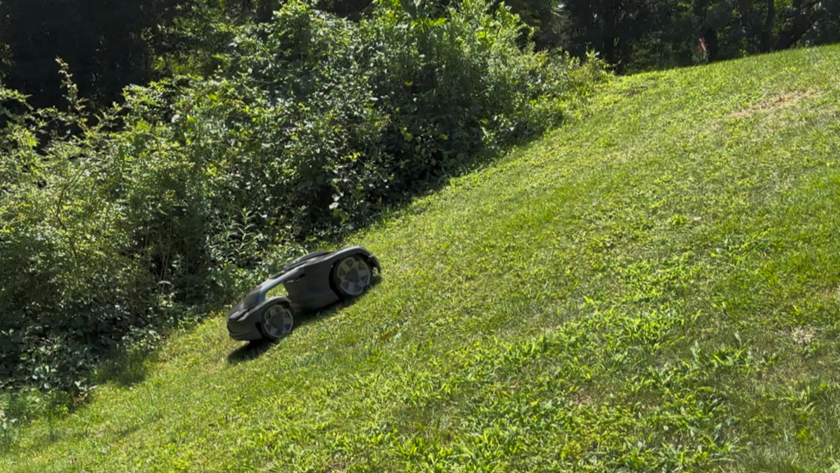 Eco-Friendly Lawn Maintenance - Robotic Mowing on slope - Evolve Mowing - Pembroke, MA