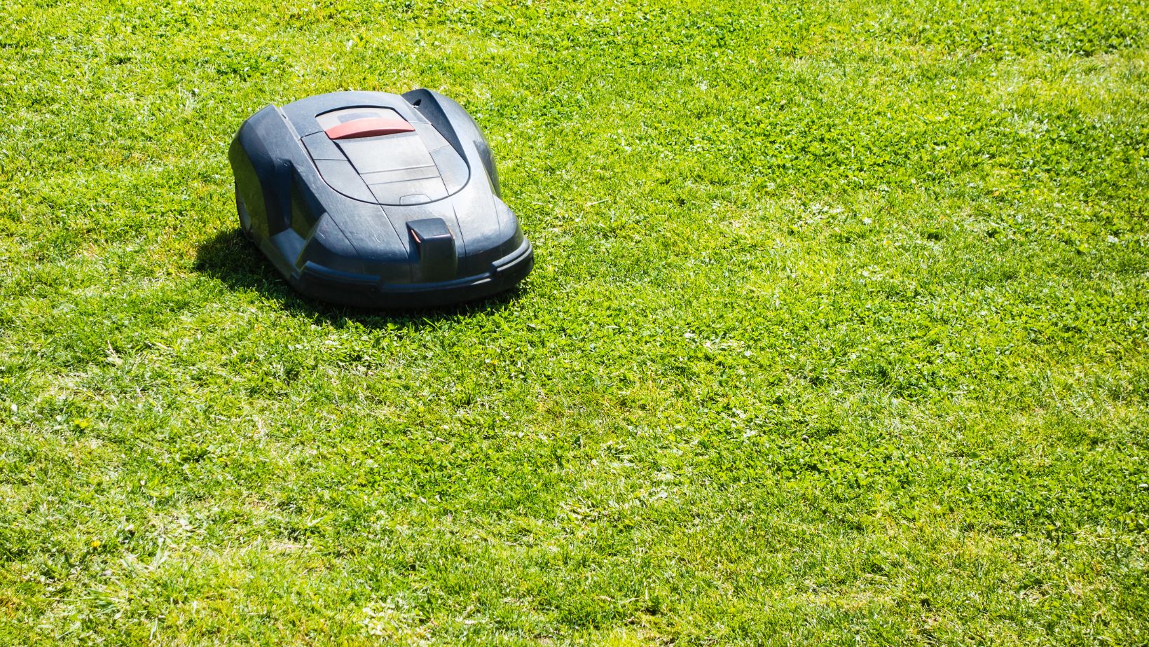 Modern Lawn Care Practices - Pembroke, MA